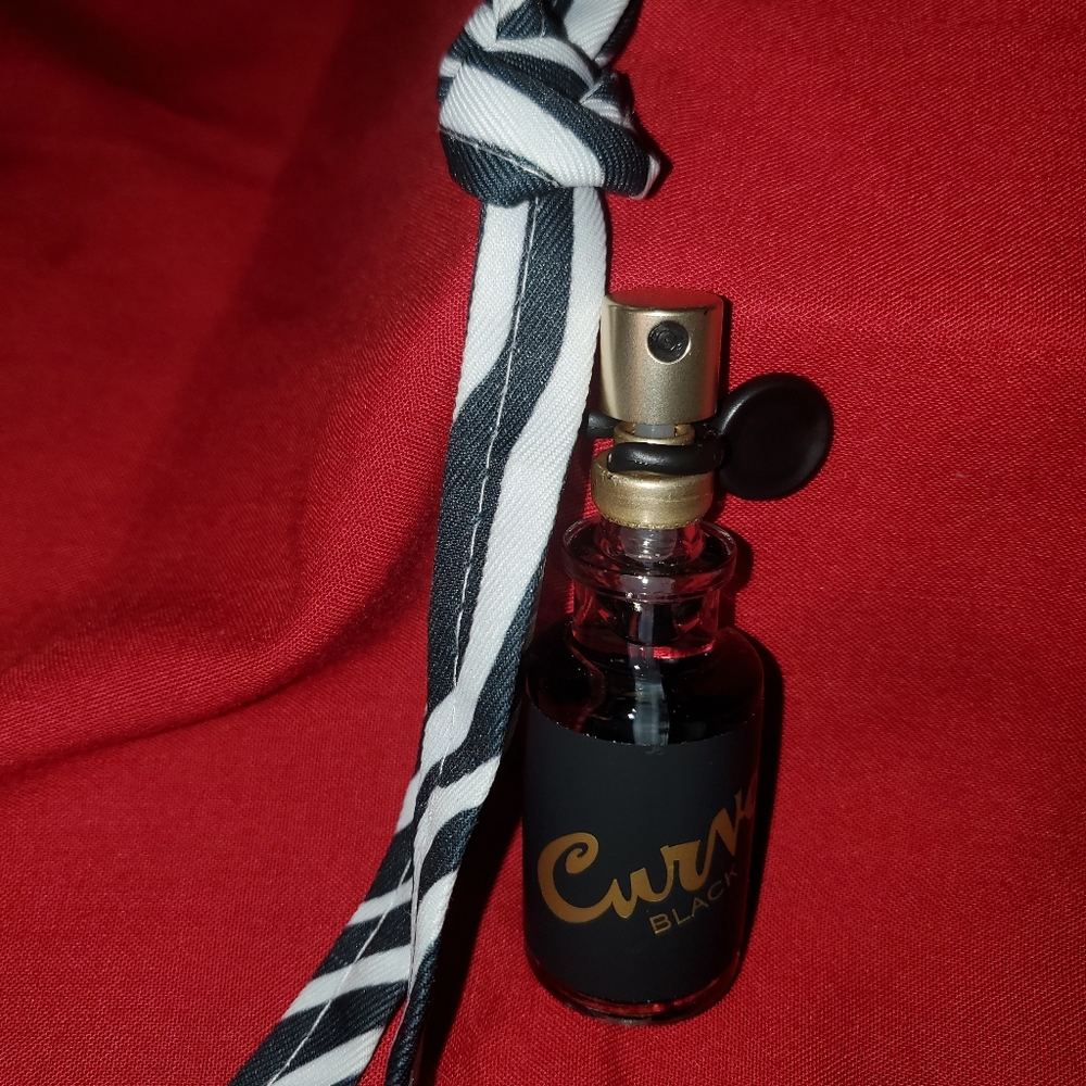 Men's Curve Black Cologne by ELizabeth Arden - Picture 4 of 4